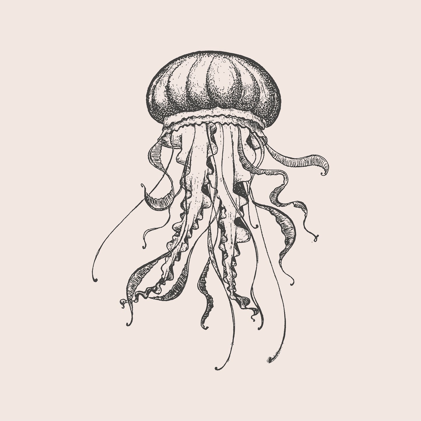 Kissenbezug - Jellyfishy Detail