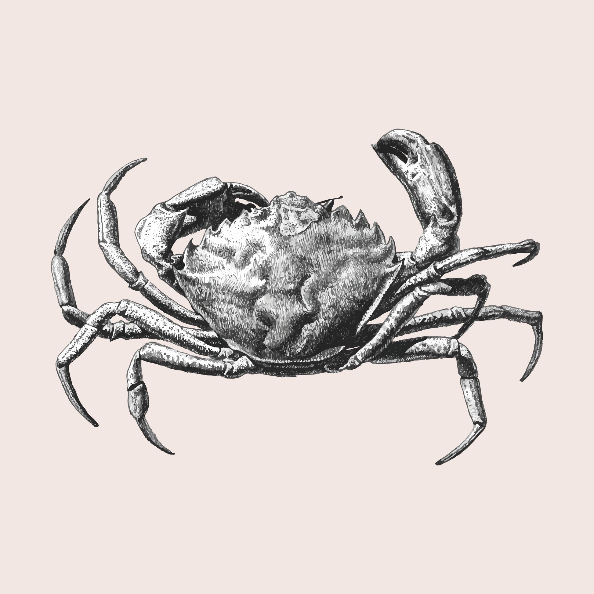 Kissenbezug - Craby Detail