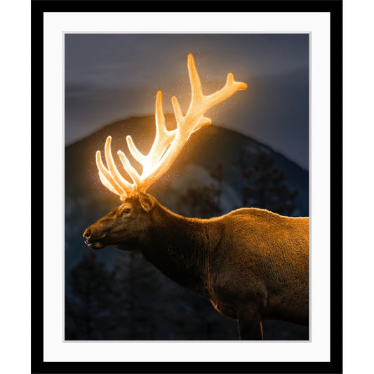 Rahmenbild - Glowing Moose