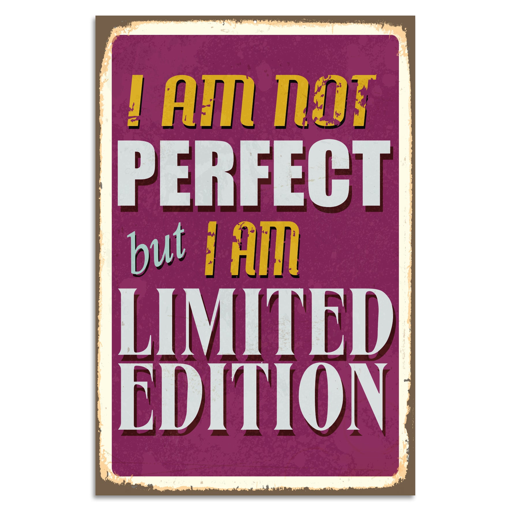 Blechschild - I am Not Perfect But I am Limited Edition