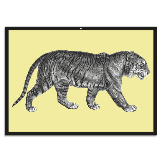 Queen Kerosin Blechschild - Tiger