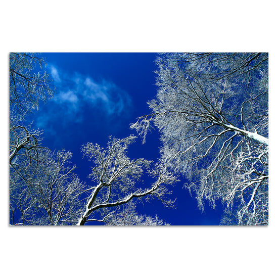 Queen Kerosin Winterwunderland von Torsten Reuter