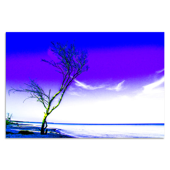 Queen Kerosin Einsamer Baum von Torsten Reuter