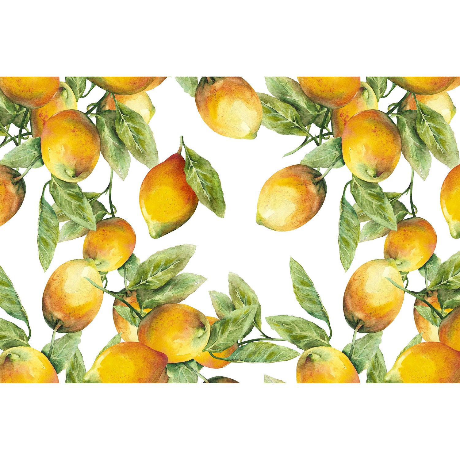 Spritzschutz - Lemons