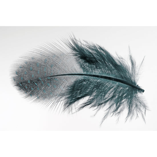 Queen Kerosin Spritzschutz - Feather