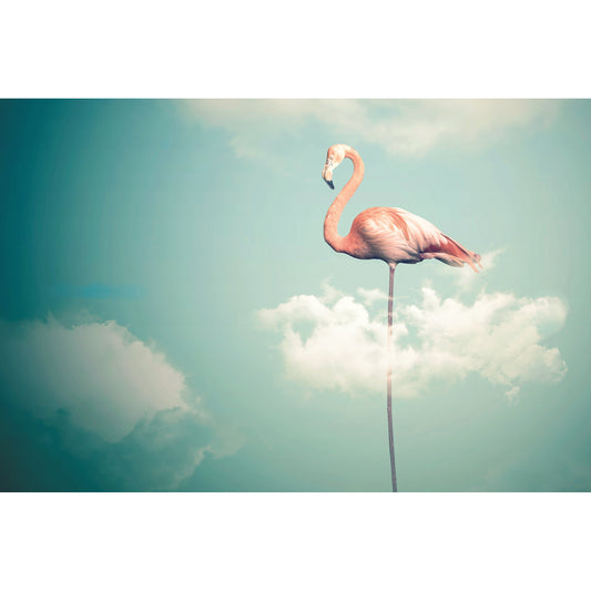Spritzschutz - Flamingo