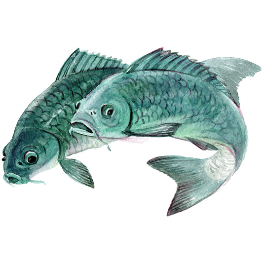 Spritzschutz - Fish