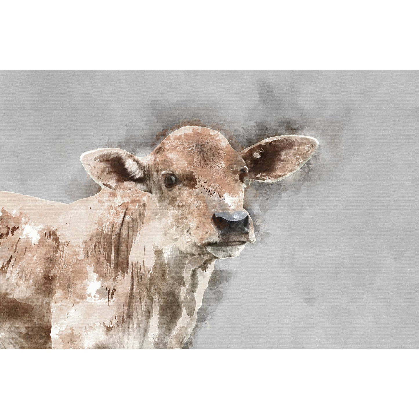 Spritzschutz - Young Cow