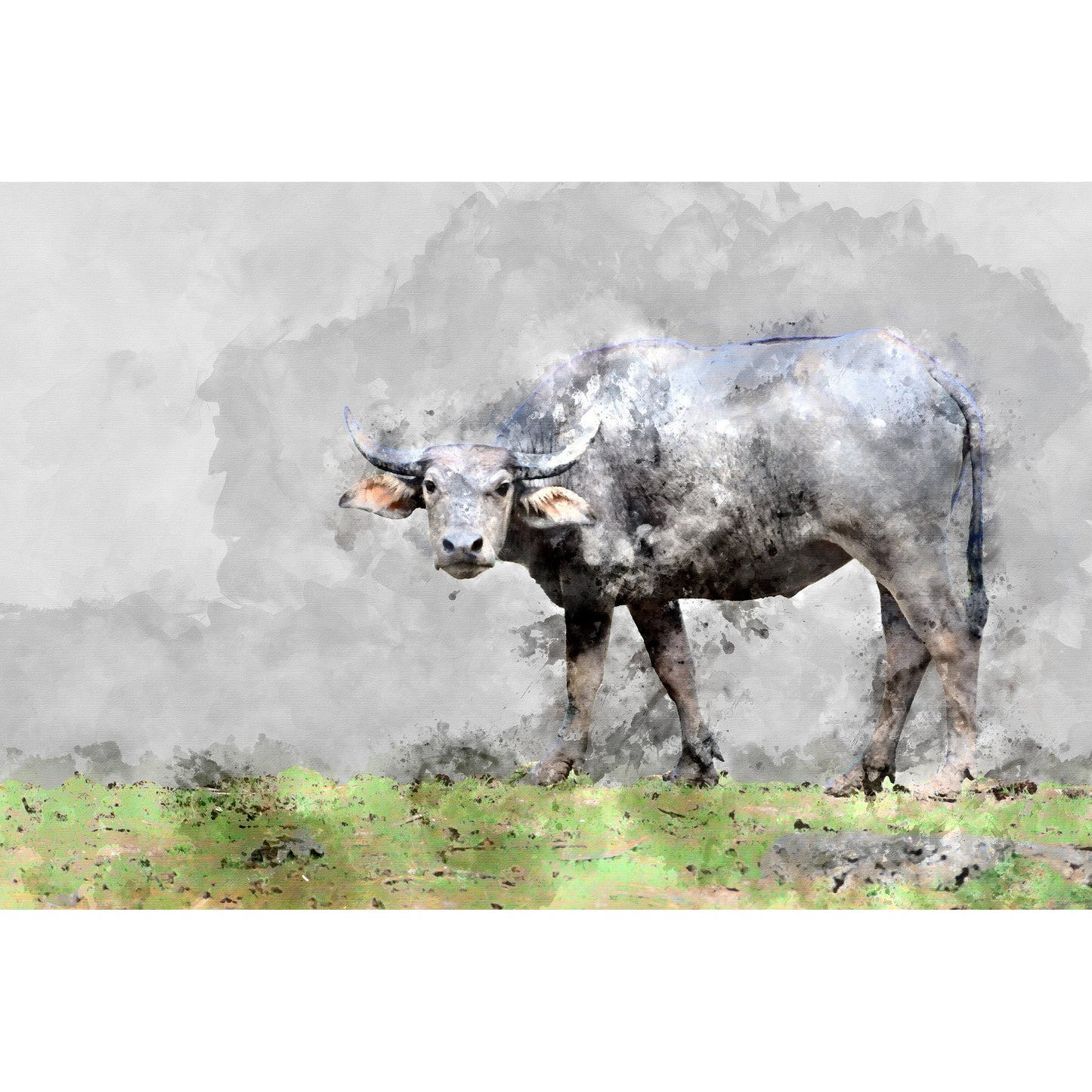 Spritzschutz - Wild Cow