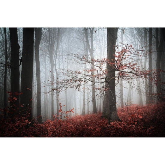 Queen Kerosin Spritzschutz - Autumn Forest