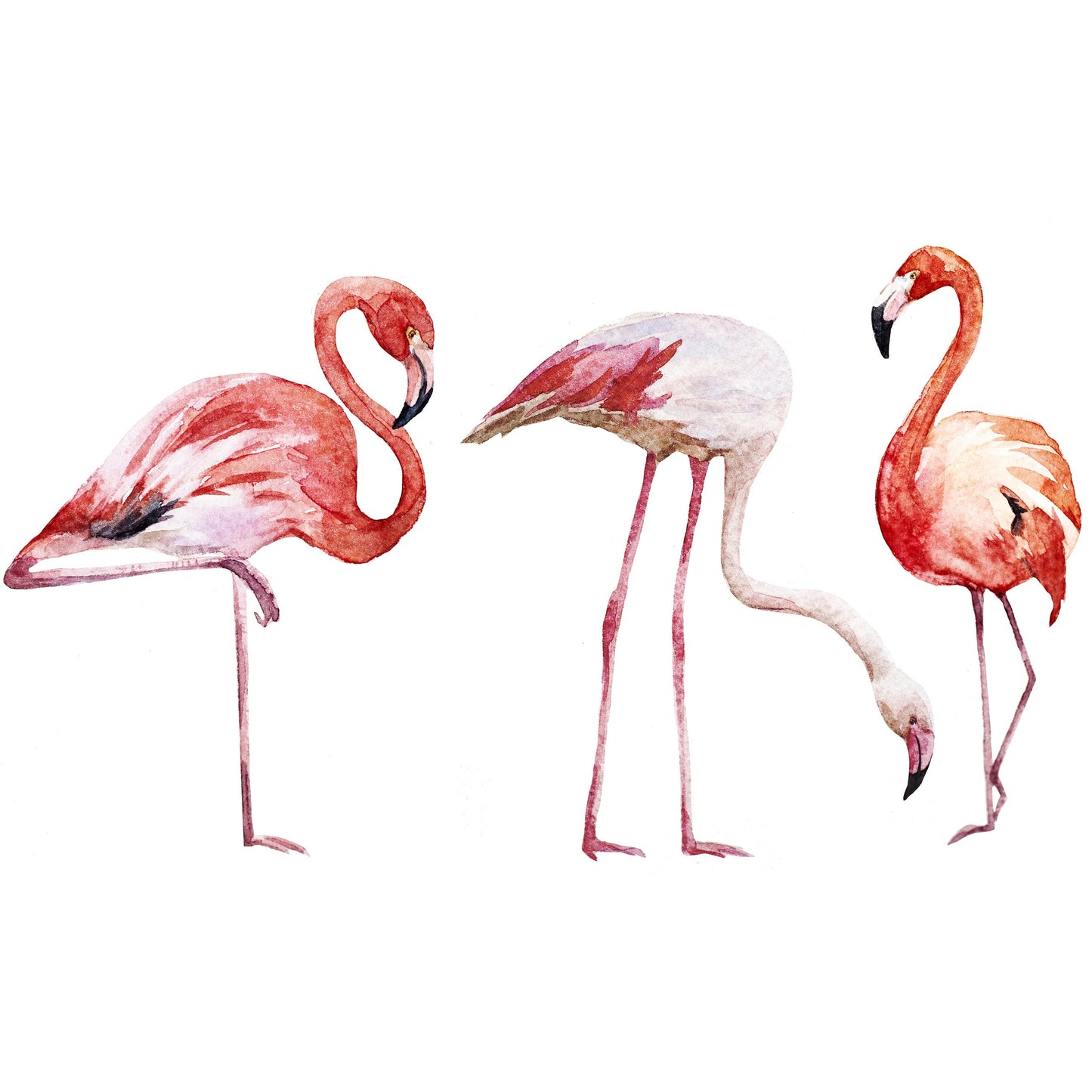 Spritzschutz - Three Flamingo