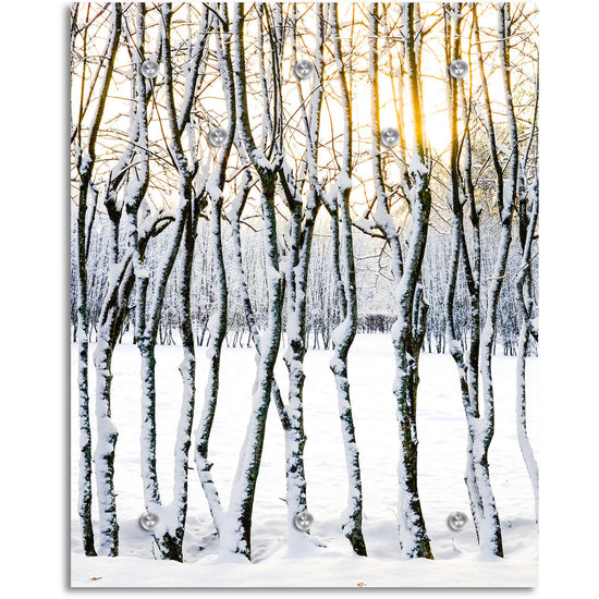 Queen Kerosin Garderobe - Irmio