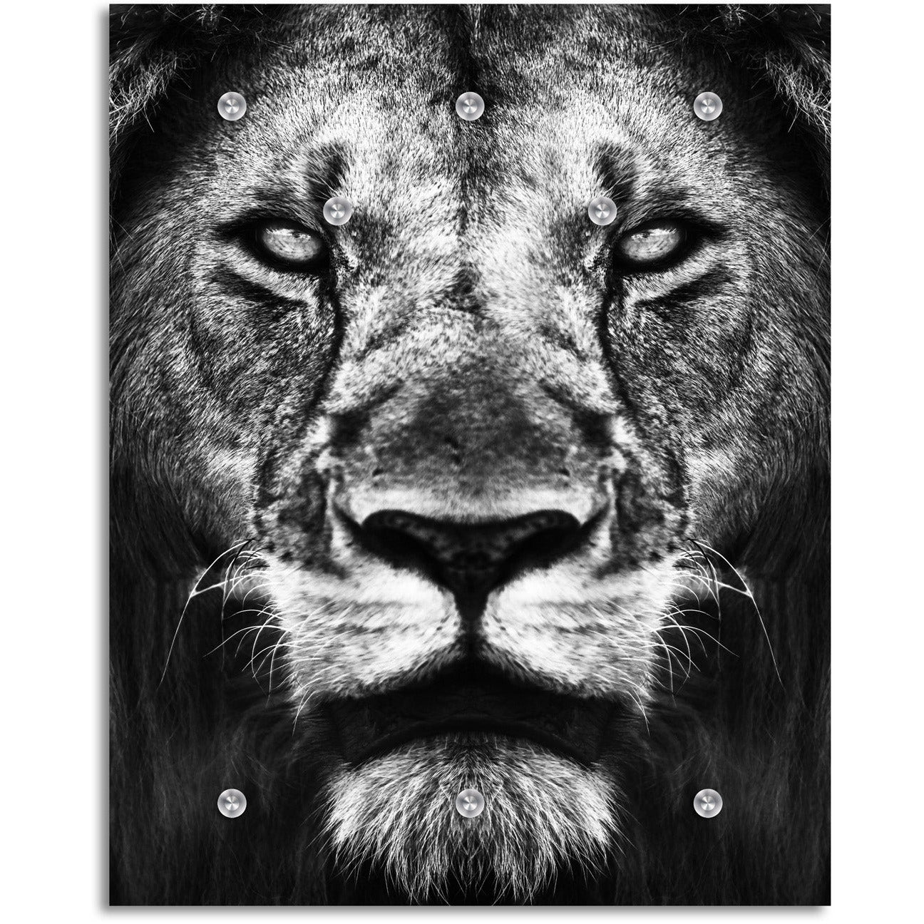 Garderobe - Lion King