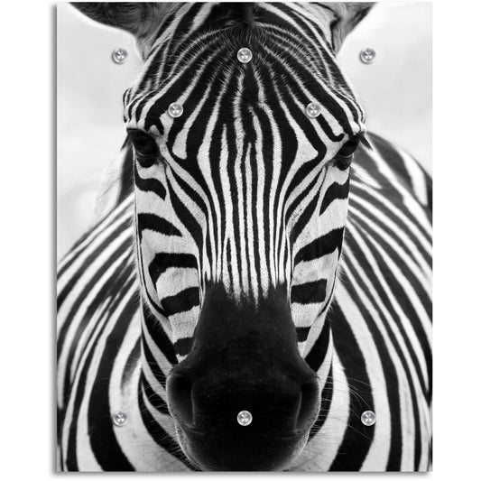 Garderobe - Zebra