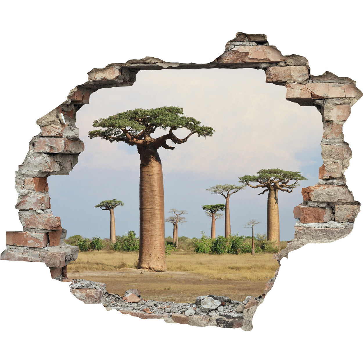 3D-Effekt - Afrikanischer Affenbrotbaum