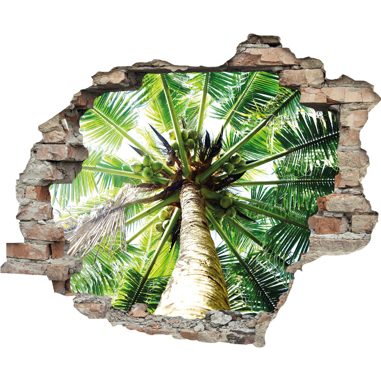 3D-Effekt - Kokospalme